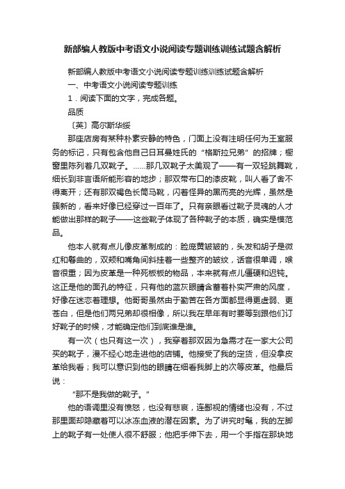 新部编人教版中考语文小说阅读专题训练训练试题含解析