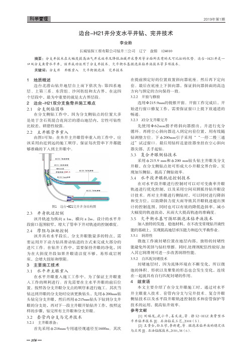 边台H21井分支水平井钻、完井技术