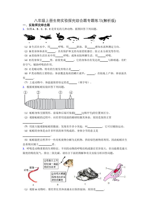 八年级上册生物实验探究综合题专题练习(解析版)[006]