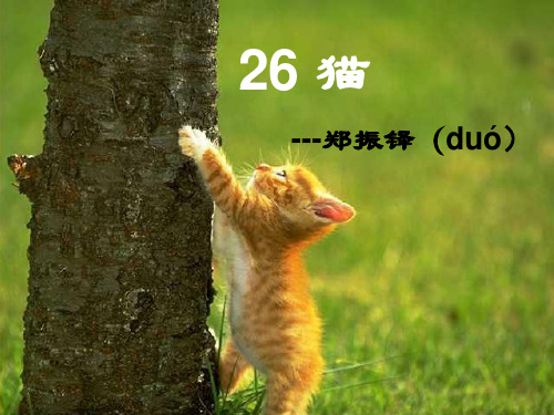 26猫课件