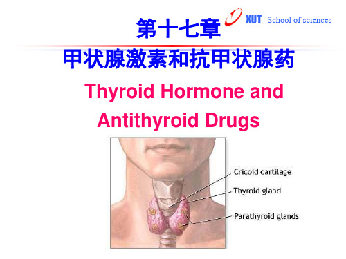 硫脲类抗甲状腺药