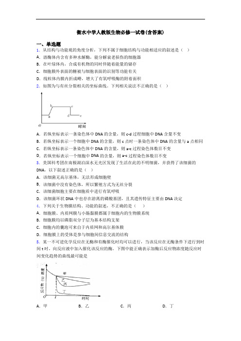 衡水中学人教版生物必修一试卷(含答案)