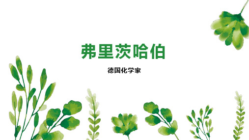 [下载打印版本]弗里茨哈伯