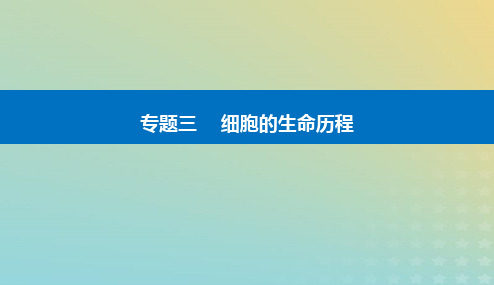 2024届高考生物二轮复习细胞的生命历程(含减数分裂和受精作用)课件