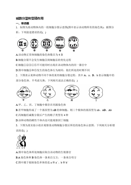 高考生物一轮复习：减数分裂和受精作用练习