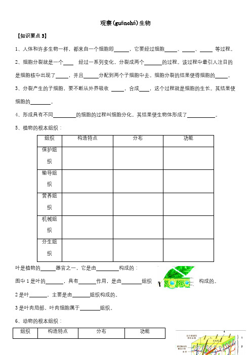 七年级科学上册 第2章 观察生物检测试题 试题(共7页)