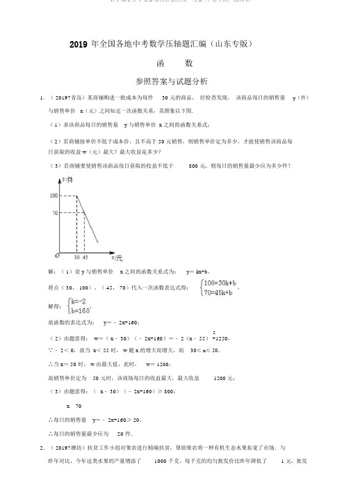 2019年全国各地中考数学压轴题汇编：函数(山东专版)(解析卷)