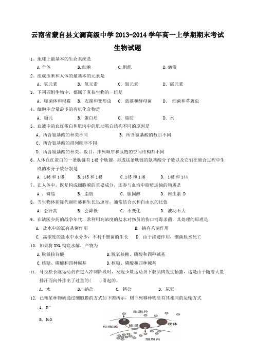 云南省蒙自县文澜高级中学2013-2014学年高一上学期期末考试生物试题