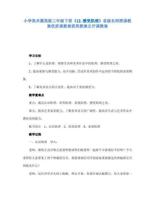 小学美术冀美版三年级下册《12.感受肌理》省级名师授课教案优质课教案获奖教案公开课教案A001