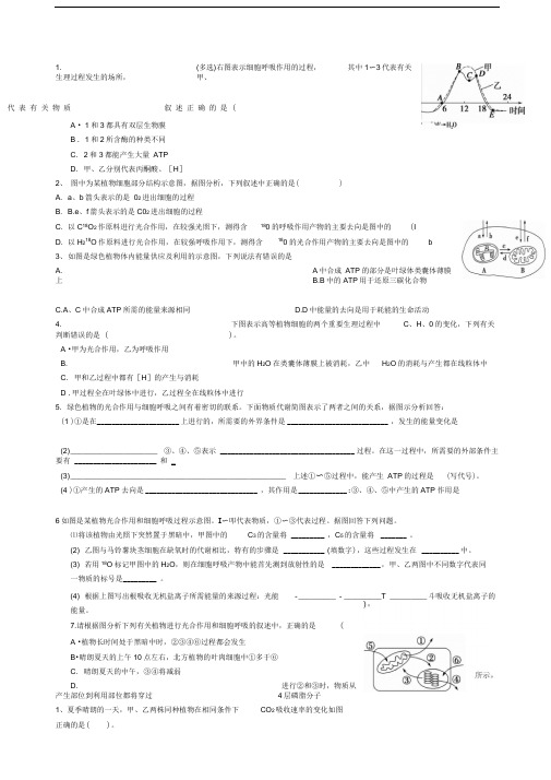 光合作用曲线图专题绝对有料