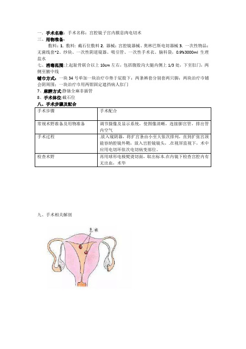 宫腔镜子宫内膜息肉电切术