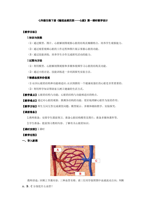 初中生物_心脏教学设计学情分析教材分析课后反思