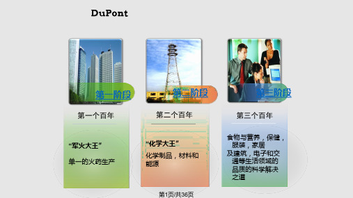 杜邦公司案例分析PPT课件
