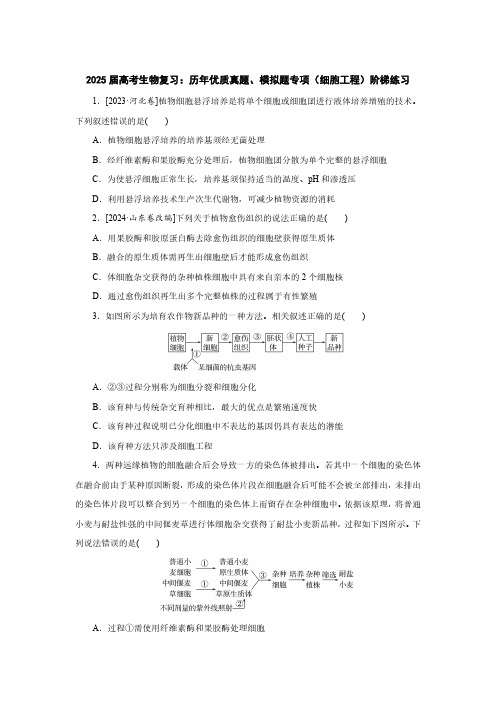 2025届高考生物复习：历年优质真题、模拟题专项(细胞工程)阶梯练习(附答案)