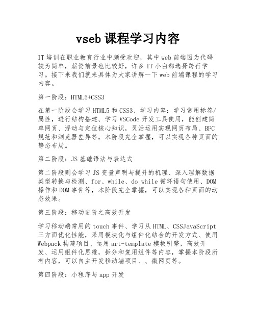 vseb课程学习内容