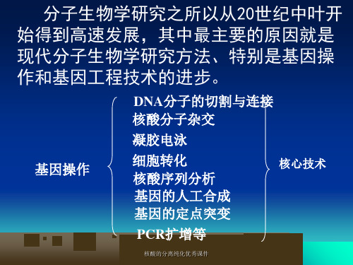 核酸的分离纯化优秀课件