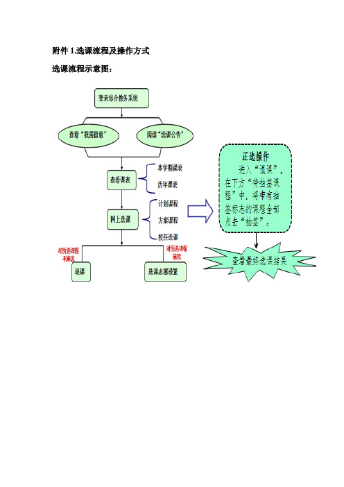 选课流程及操作方式