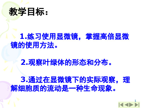 实验二、用显微镜观察胞质溶胶的流动(课堂PPT)