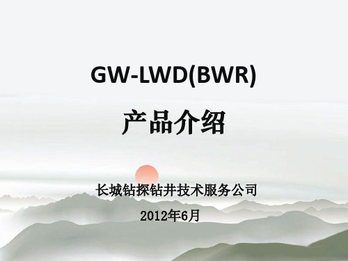 LWD汇报-吉林油田1