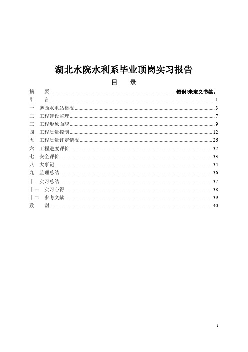 湖北水院水利系毕业顶岗实习报告
