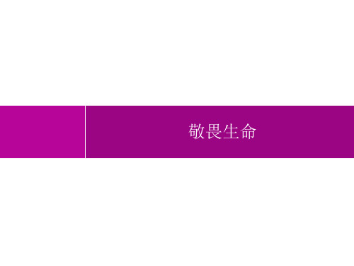 初中道德与法治七年级上册精品教学课件课件 第4单元 第8课 敬畏生命