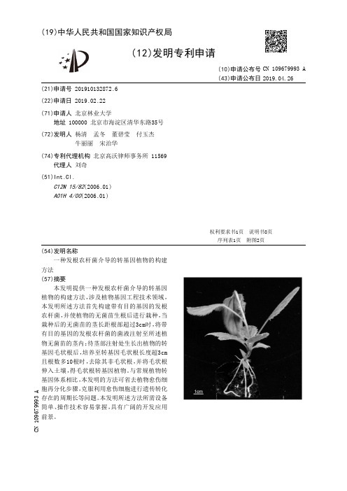 【CN109679993A】一种发根农杆菌介导的转基因植物的构建方法【专利】