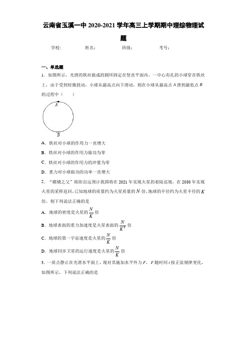 云南省玉溪一中2020-2021学年高三上学期期中理综物理试题