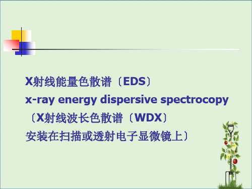 X射线能量色散谱-EDS..