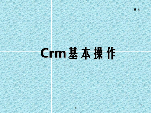 《CRM系统介绍》PPT课件