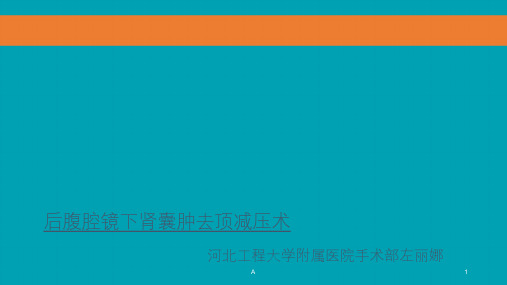 后腹腔镜下肾囊肿去顶减压术