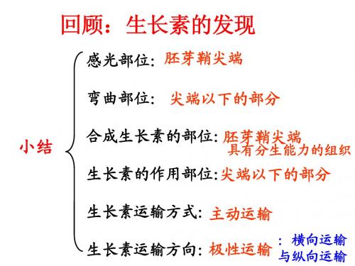 3-3-2生长素的生理作用
