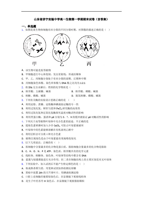 山东省济宁实验中学高一生物第一学期期末试卷(含答案)