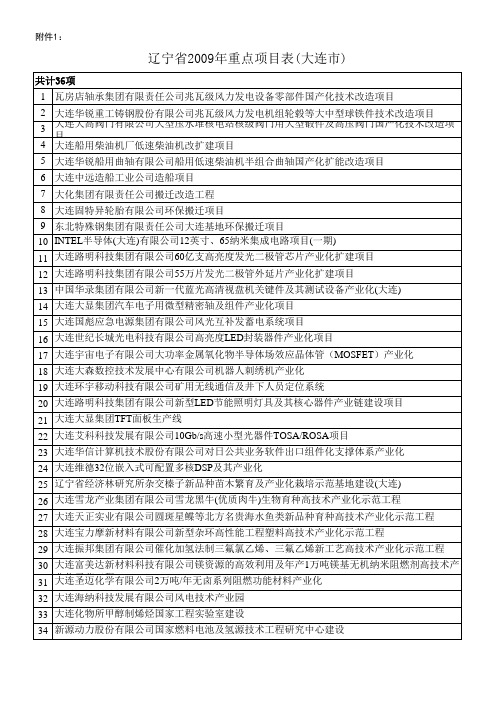 辽宁省2009重点项目表(大连)