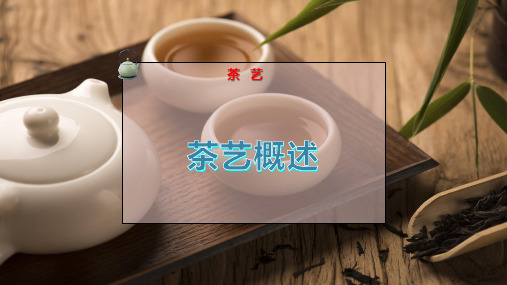 茶 艺 概 述