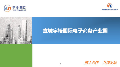 宣城宇培国际电子商务产业园项目招商