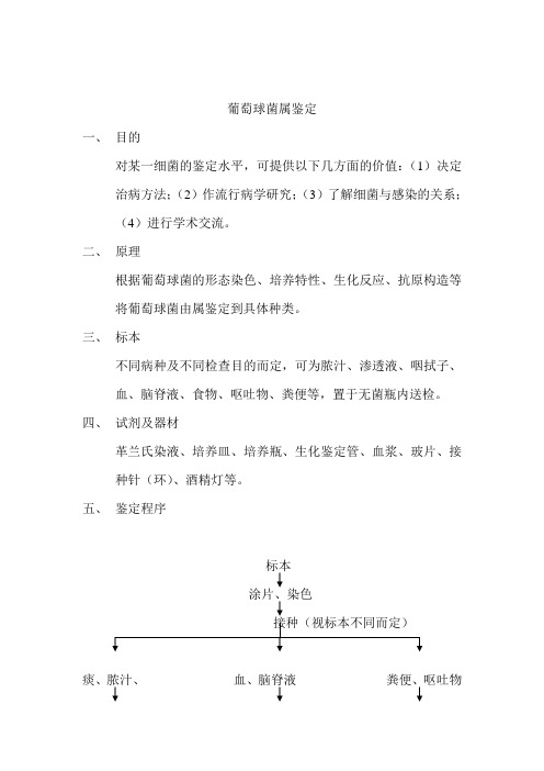 葡萄球菌属鉴定