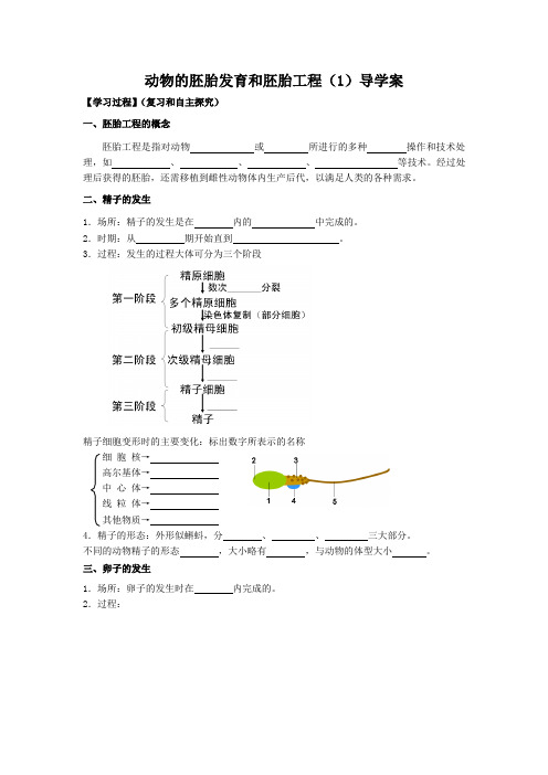 哺乳动物胚胎发育的基本过程