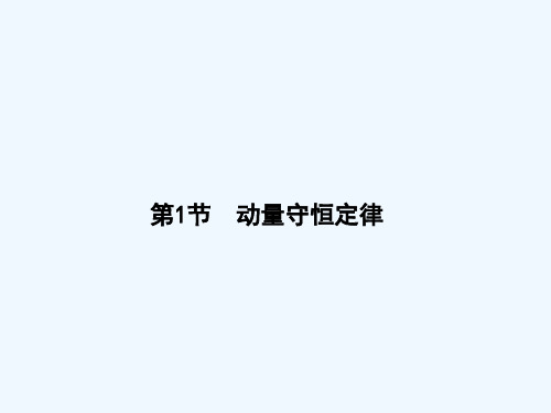 2014届新高考物理第一轮总复习精讲课件 13.1动量守恒定律