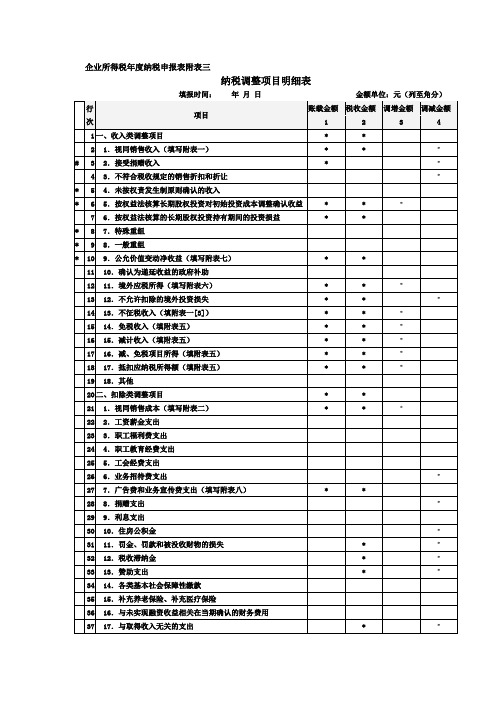 纳税调整项目明细表