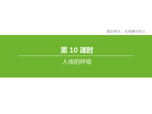 中考生物总复习第四单元生物圈中的人第10课时人体的呼吸课件