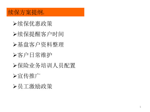 4S店续保方案ppt课件