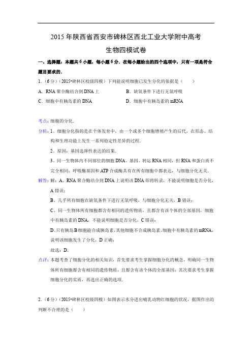 生物高考模拟卷-高三生物试题及答案-西安市碑林区西北工业大学附中2015届高考四模