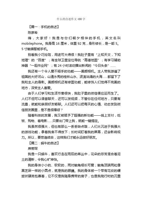 什么的自述作文400字_小学五年级作文_