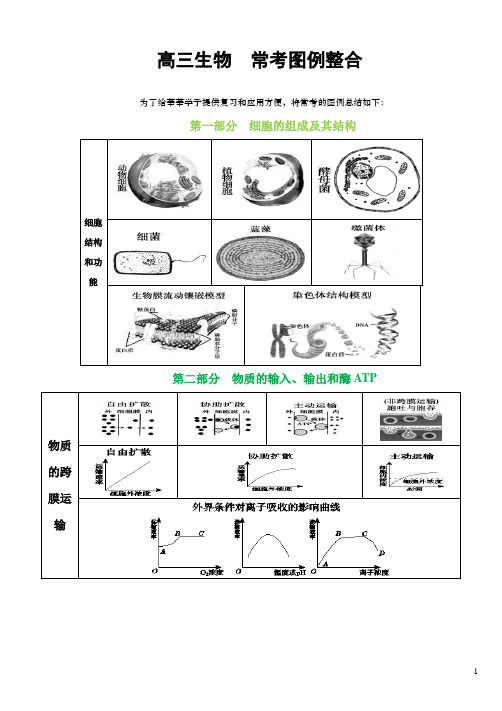 高三生物 高频考点 图样分析