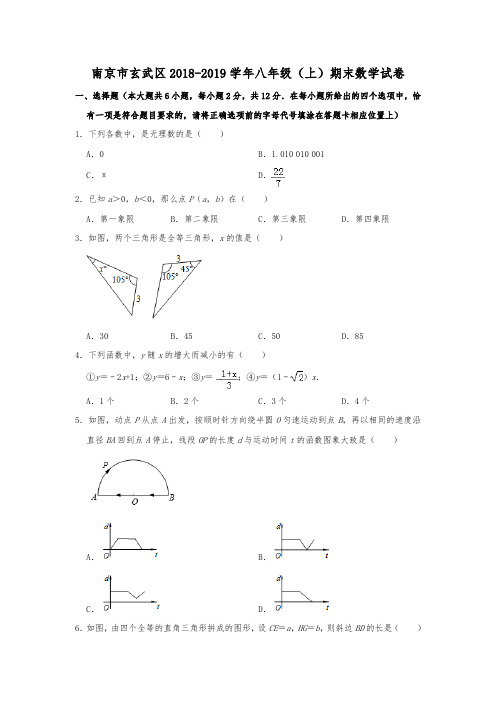 江苏省南京市玄武区2018-2019学年度八年级(上)期末数学试卷 (解析版)
