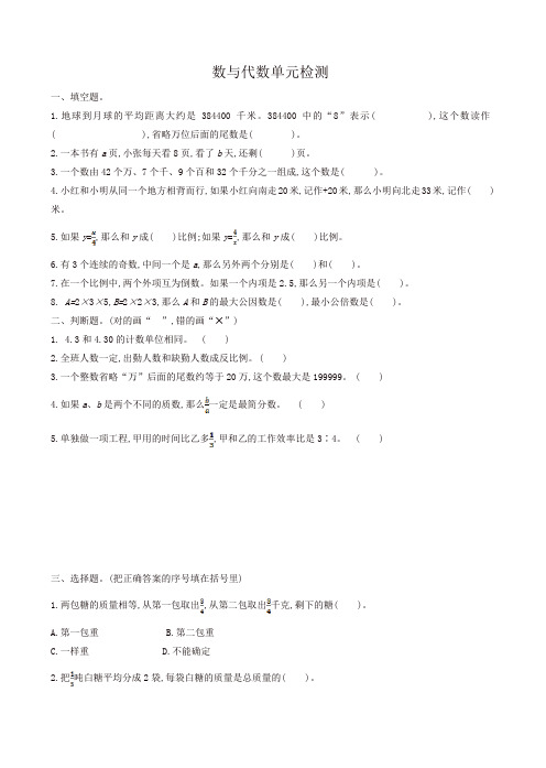 人教版小学六年级数学下册 数与代数单元检测试卷试卷[精品]