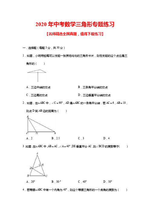 2020年中考数学三角形专题练习(含答案)