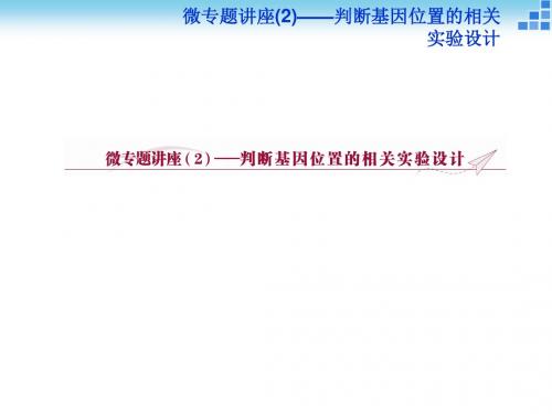 人教版高中生物教师用书配套课件 必修2 微专题讲座(2)