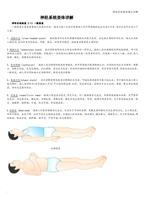 神经系统查体图文详解