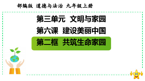 共筑生命家园+课件  部编版九年级道德与法治上册